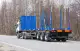Полуприцеп сортиментовоз Тонар L3 (9445) - высота ССУ 1150